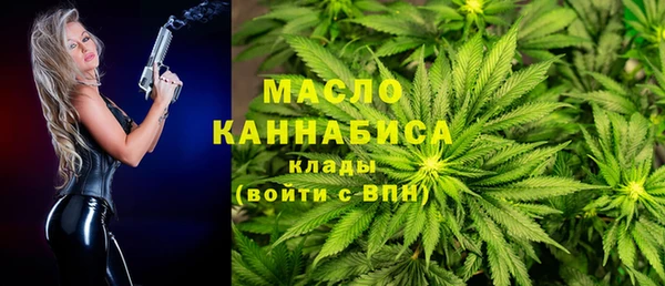 гашик Козельск