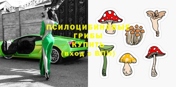 MDMA Козловка