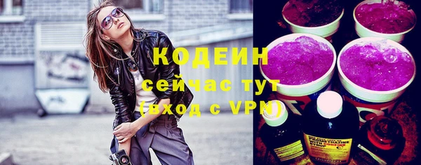 гашик Козельск