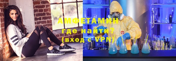 гашик Козельск
