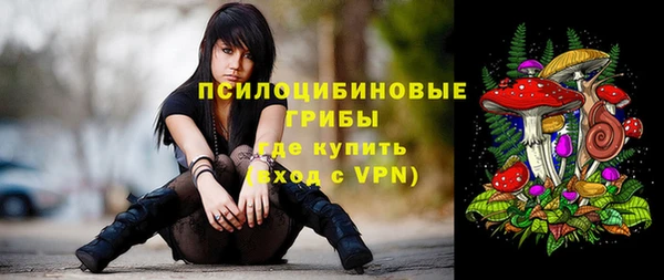 мяу мяу мука Кодинск